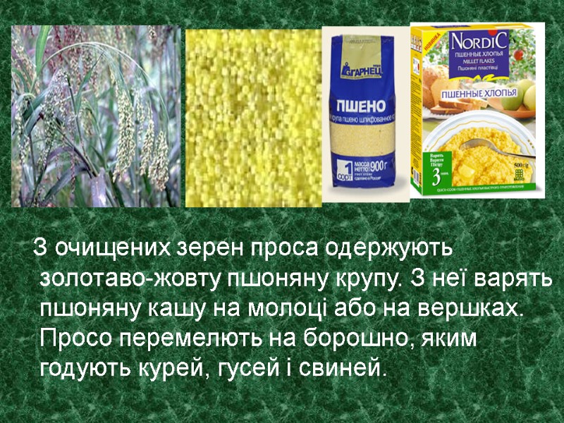 З очищених зерен проса одержують  золотаво-жовту пшоняну крупу. З неї варять  пшоняну